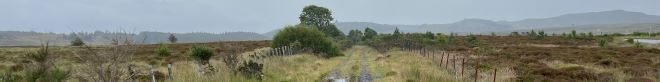 Dava Moor towards Forres